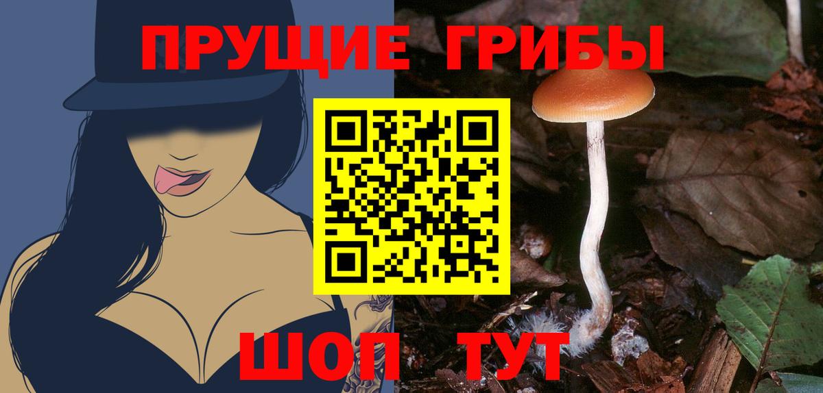 Псилоцибиновые грибы Magic Shrooms Партизанск